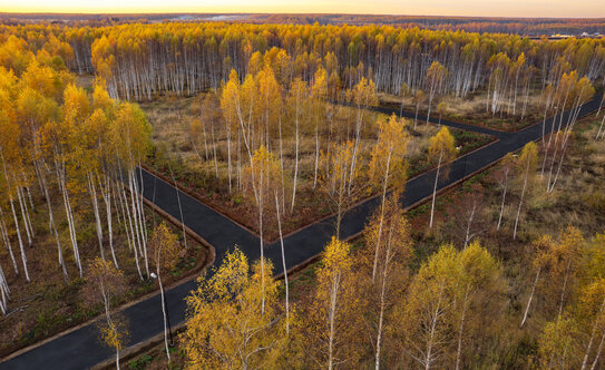 Коттеджные поселки в Московской области - изображение 5