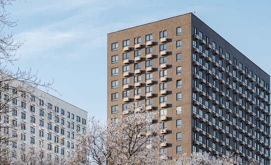 Томилинский бульвар - изображение 2