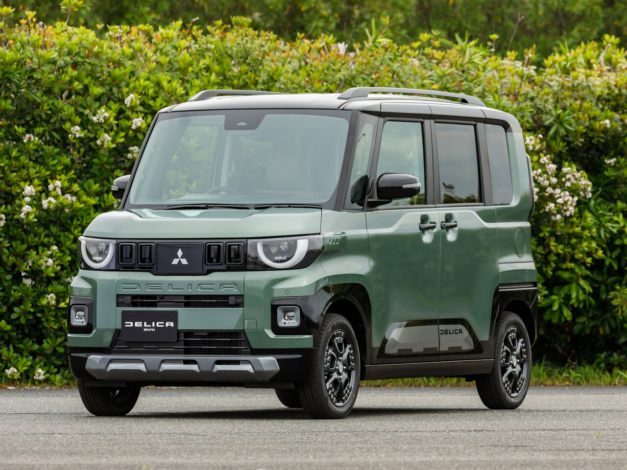 Mitsubishi Delica Mini Основной вид