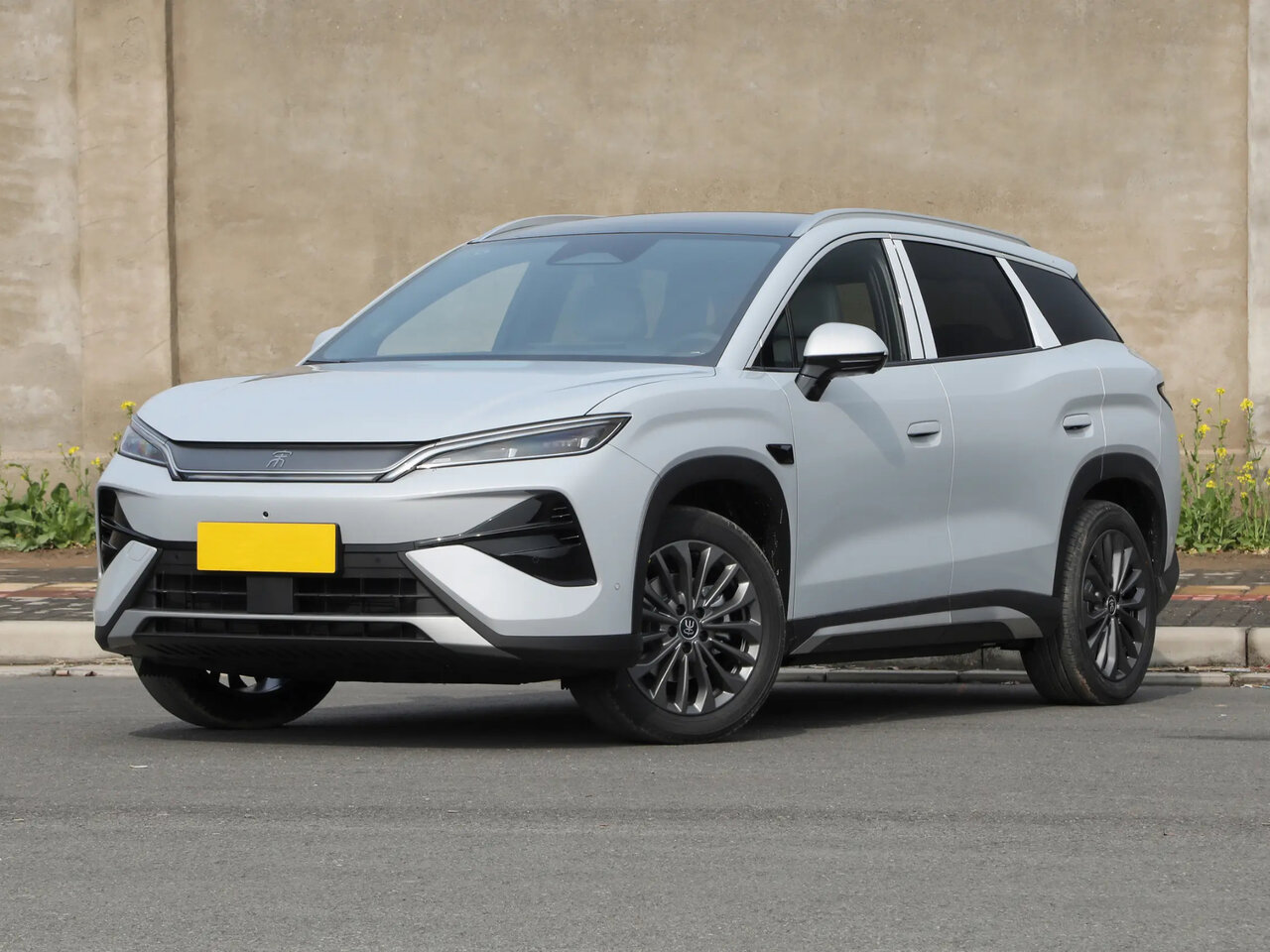 BYD Song Ultra Основной вид