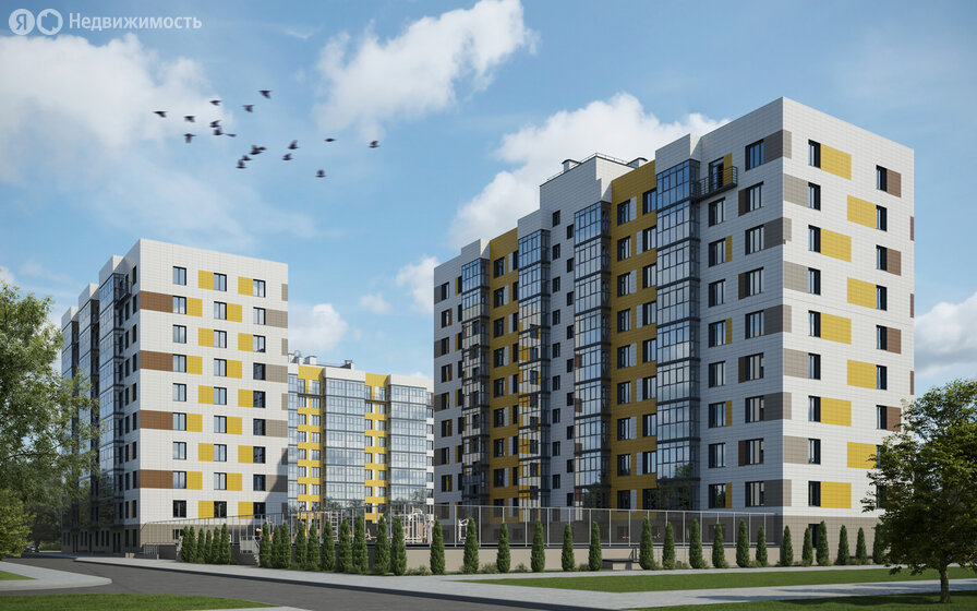 50,2 м², 2-комнатная квартира 10 145 740 ₽ - изображение 14