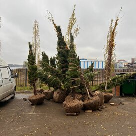 Ход строительства в ЖК «Новая Волга» за Октябрь — Декабрь 2025 года, 6