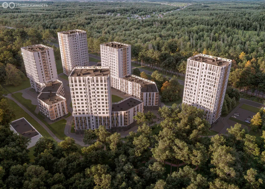 Лес - изображение 1