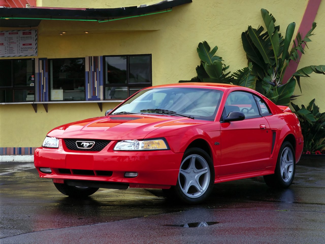 Ford Mustang -            
