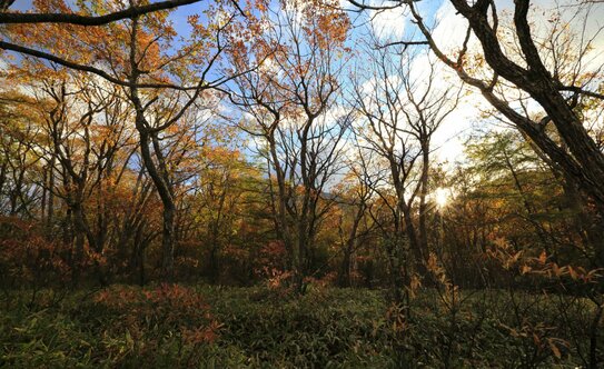 Коттеджные поселки в Московской области - изображение 37