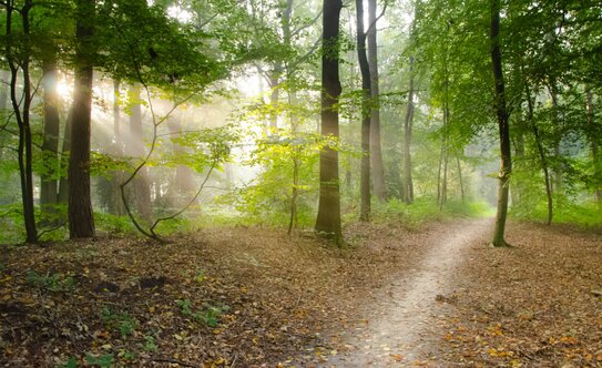 Коттеджные поселки в Московской области - изображение 38