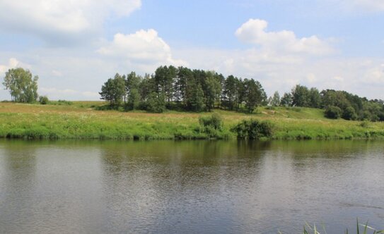 Коттеджные поселки в Московской области - изображение 11