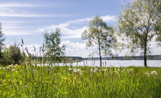 Коттеджные поселки в Московской области - изображение 32