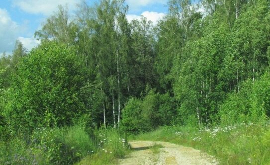 Коттеджные поселки в Московской области - изображение 32