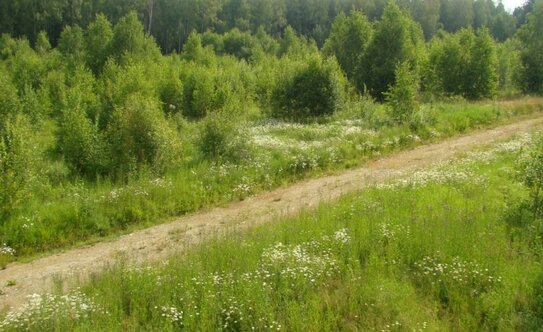 Коттеджные поселки в Московской области - изображение 33