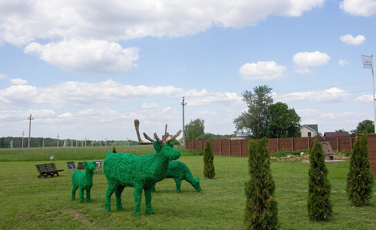 Коттеджные поселки в Московской области - изображение 23