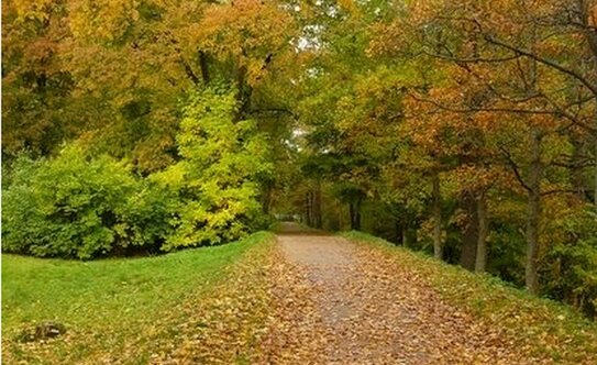 Коттеджные поселки в районе Курортный в Санкт-Петербурге и ЛО - изображение 37