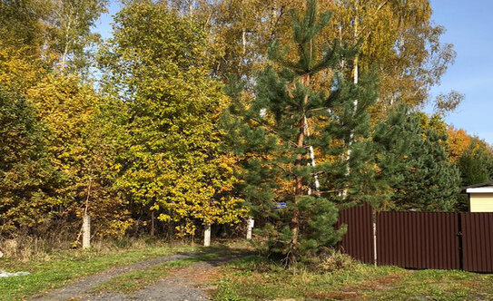 Коттеджные поселки в Московской области - изображение 15