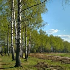 Посёлок «Березовая Роща», Одинцовский округ - изображение 9