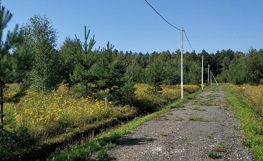 Коттеджные поселки в Московской области - изображение 3
