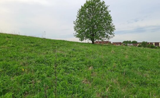 Коттеджные поселки в Ленинградской области - изображение 24