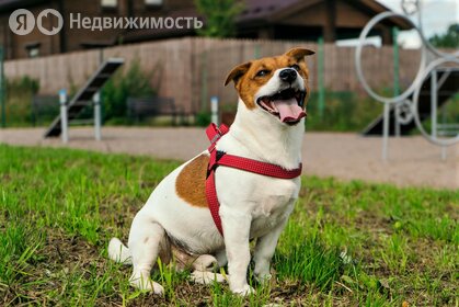 Коттеджные поселки в Санкт-Петербурге и ЛО - изображение 60