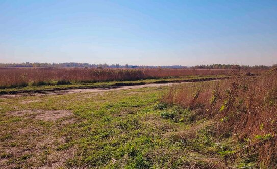 Коттеджные поселки в Московской области - изображение 9