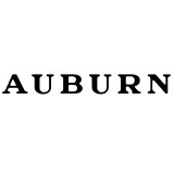Изображение Auburn Speedster