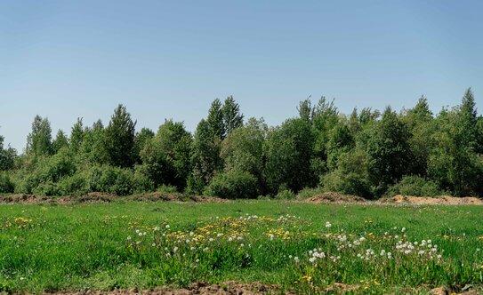 Коттеджные поселки в Ленинградской области - изображение 46