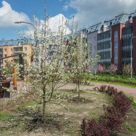 Купить квартиру - студию рядом с озером в ЖК «Зеленый квартал на Пулковских высотах» в Санкт-Петербурге и ЛО - изображение 4