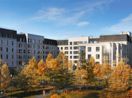 Миниполис 8 кленов - изображение 6