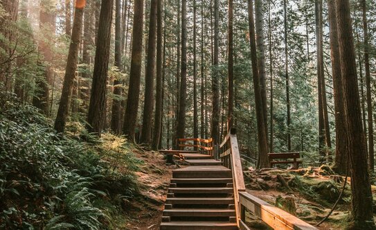 Коттеджные поселки в Сочи - изображение 20