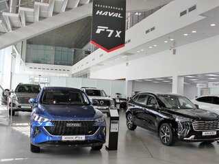Лексус лосиный остров официальный