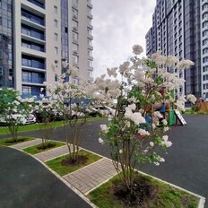 Квартира 188,7 м², 5-комнатная - изображение 5