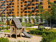 Мещерский лес - изображение 9