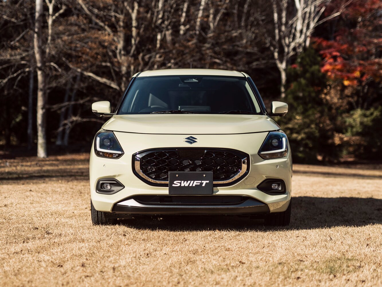 Suzuki Swift, вид 2