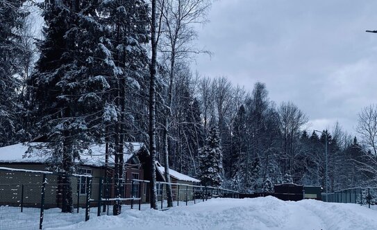 Коттеджные поселки в Московской области - изображение 4