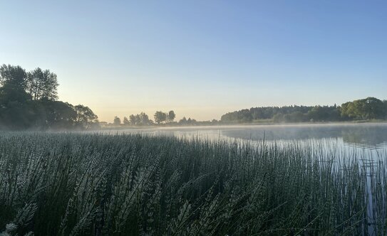 Коттеджные поселки в Московской области - изображение 1