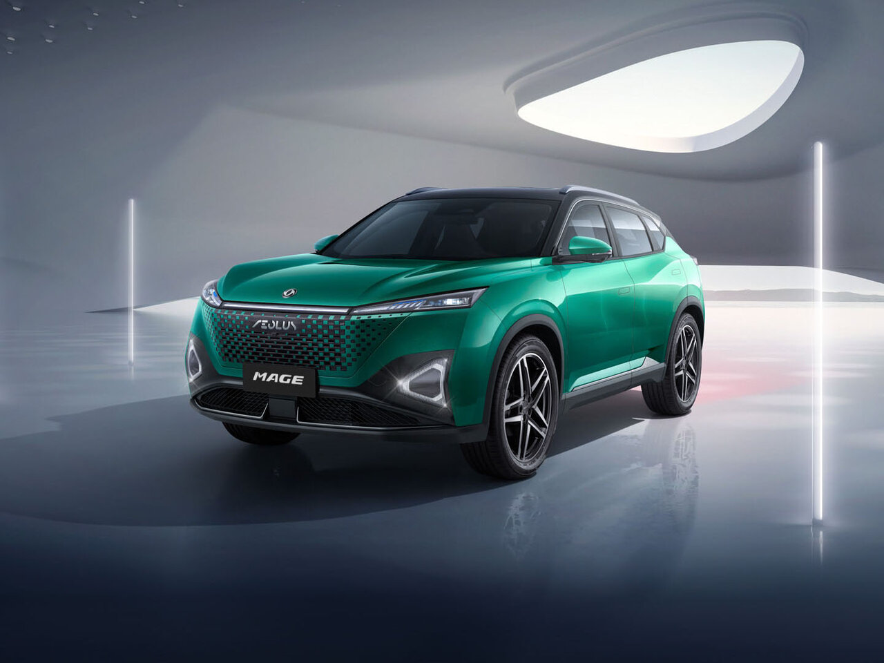 Dongfeng Mage Основной вид