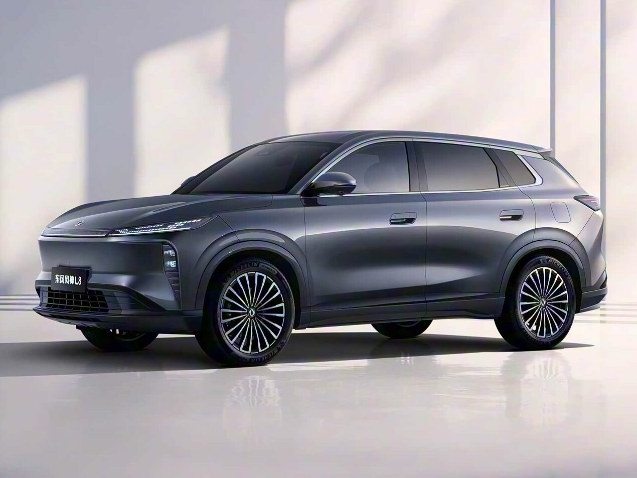 Dongfeng Aeolus L8 Основной вид