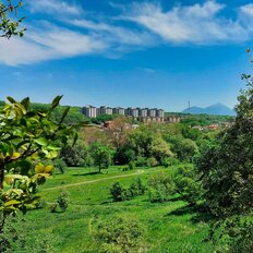 Квартира 30,5 м², 1-комнатная - изображение 5