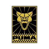 Изображение Puma GTB