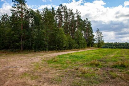 Коттеджные поселки в Санкт-Петербурге - изображение 34