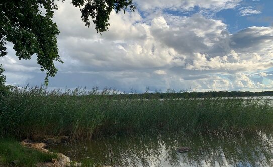 Коттеджные поселки в Ленинградской области - изображение 17