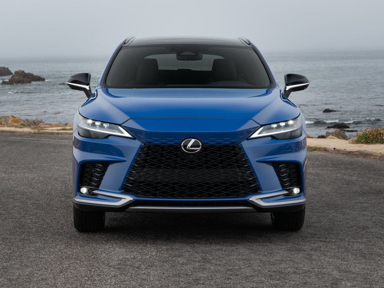 Lexus RX, вид 3
