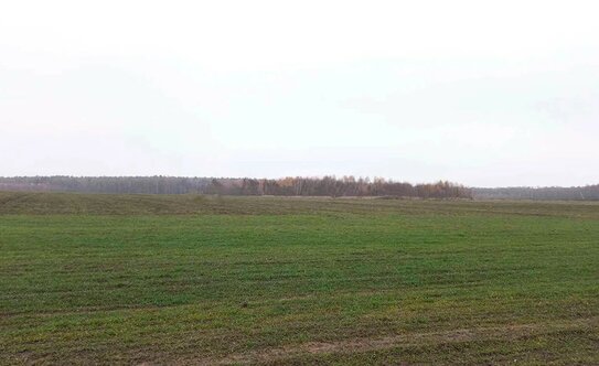 Коттеджные поселки в Московской области - изображение 19