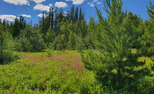 Коттеджные поселки в Казани - изображение 22