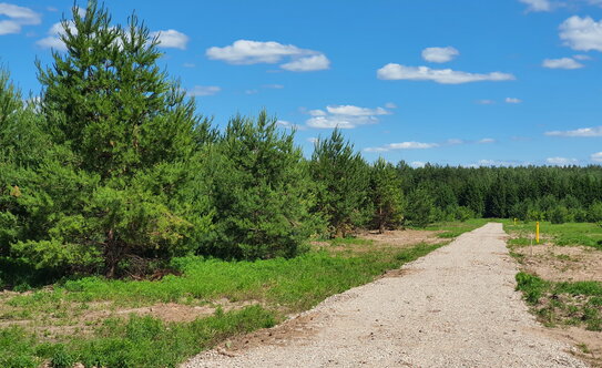 Коттеджные поселки в Казани - изображение 23