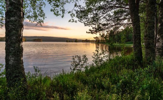 Коттеджные поселки в Выборгском районе - изображение 17