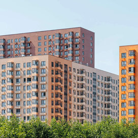 Купить квартиру на вторичном рынке в новостройке в Заречном парке в Санкт-Петербурге и ЛО - изображение 1