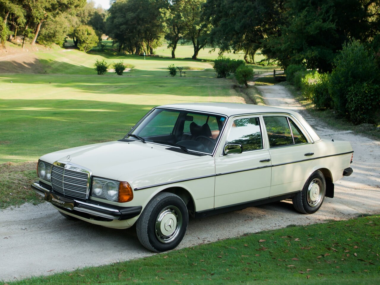 Mercedes-Benz W123 Основной вид