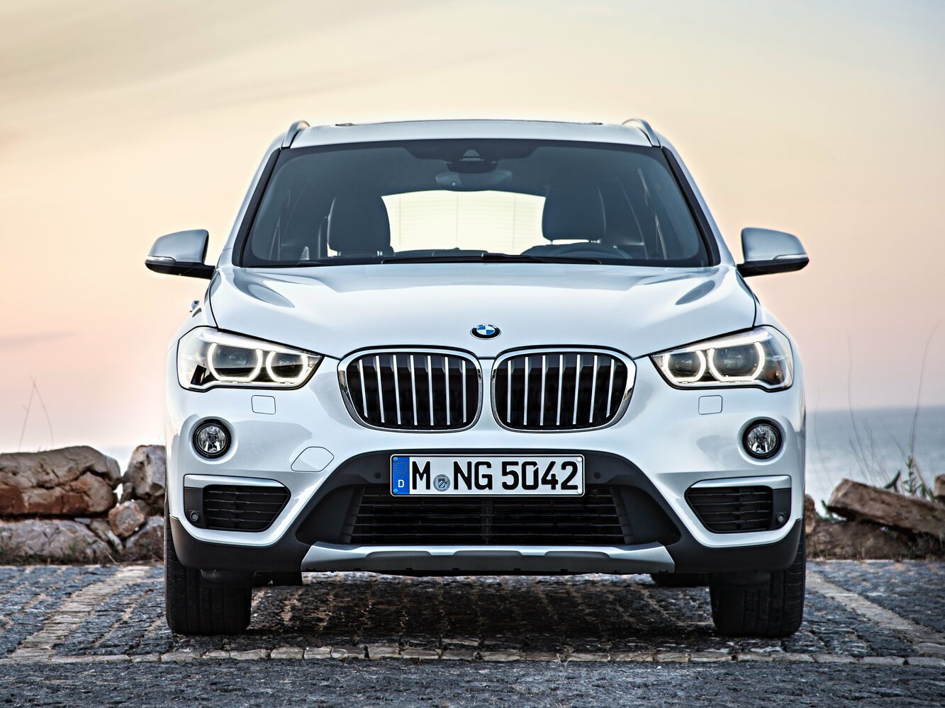 BMW X1 Diesel, вид 3