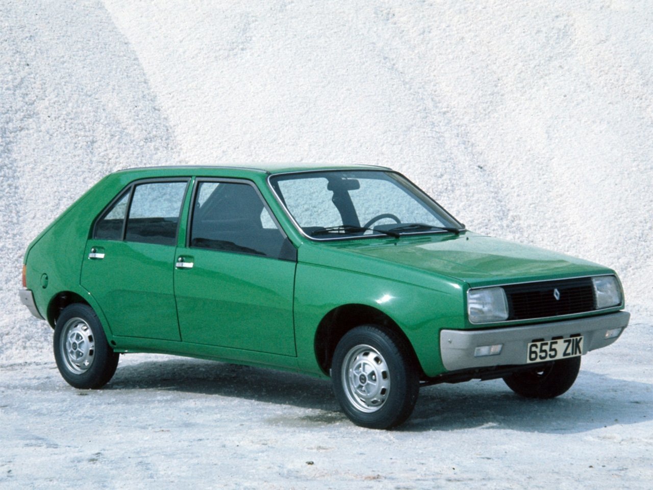 Renault 14 Основной вид
