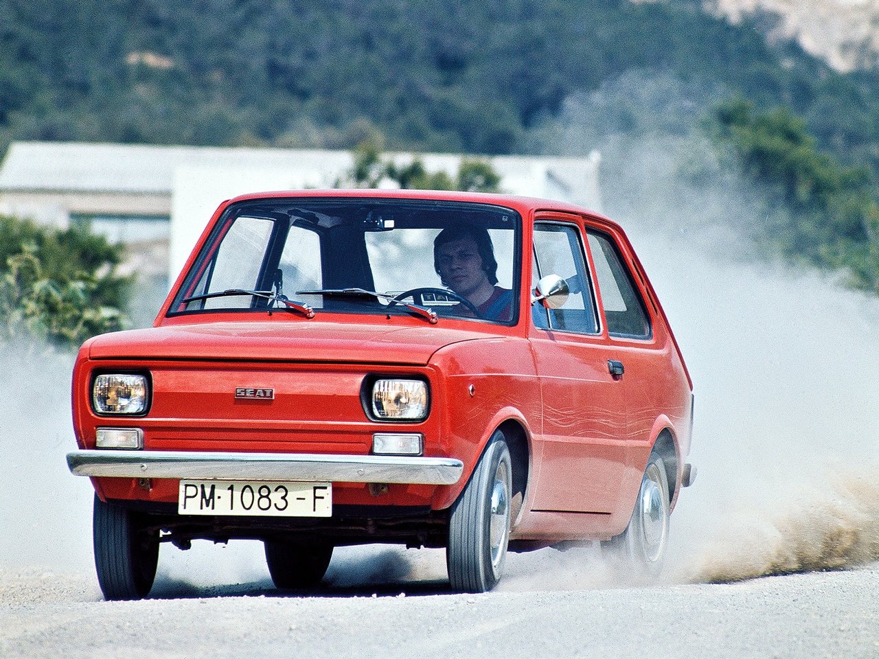 SEAT 133 Основной вид