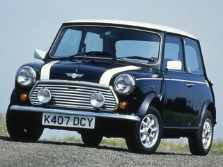 Rover Mini